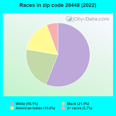 Races in zip code 28448 (2022)