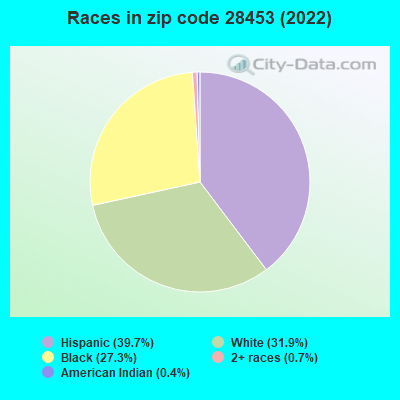Races in zip code 28453 (2022)