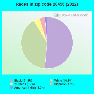 Races in zip code 28456 (2022)