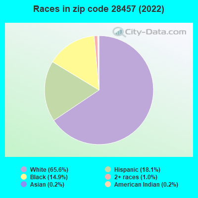 Races in zip code 28457 (2022)