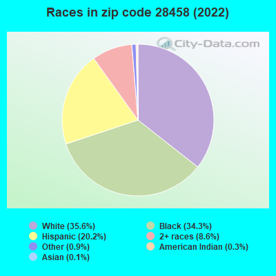 Races in zip code 28458 (2022)