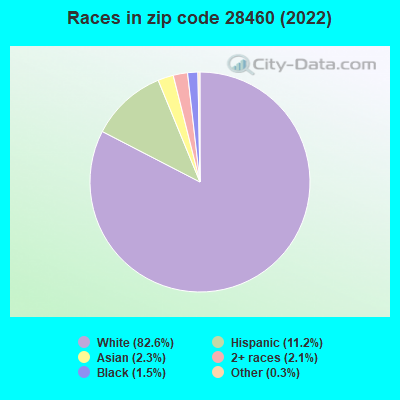 Races in zip code 28460 (2022)