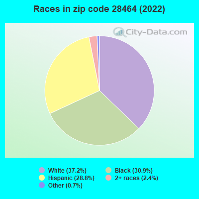 Races in zip code 28464 (2022)