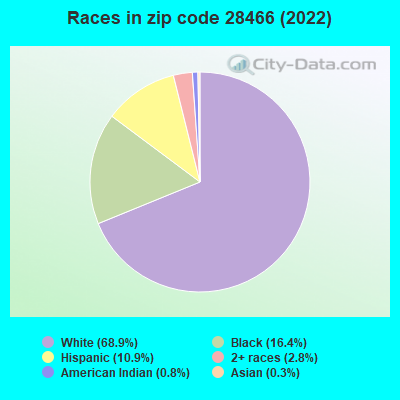 Races in zip code 28466 (2022)