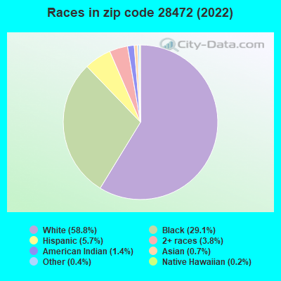 Races in zip code 28472 (2022)
