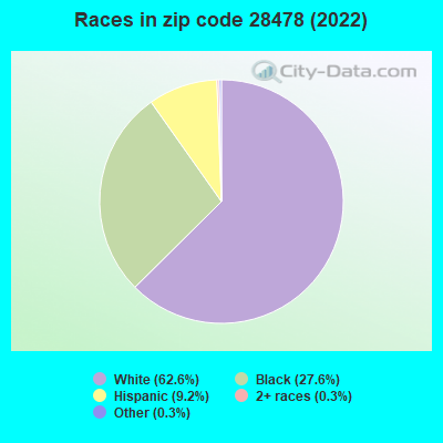 Races in zip code 28478 (2022)