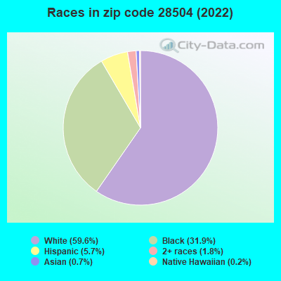 Races in zip code 28504 (2022)
