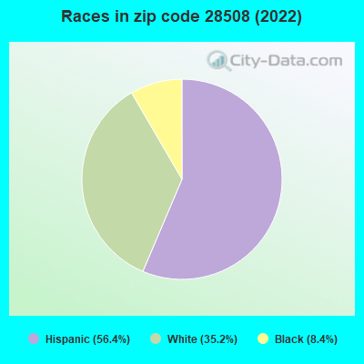 Races in zip code 28508 (2022)