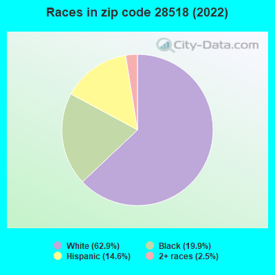 Races in zip code 28518 (2022)