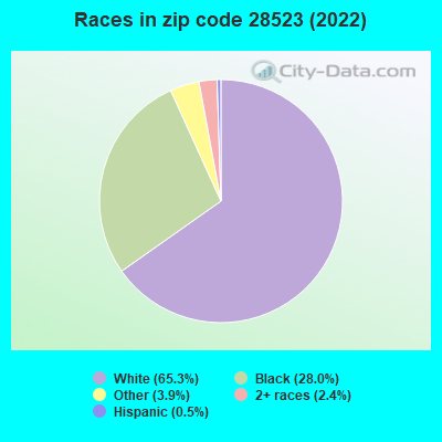 Races in zip code 28523 (2022)