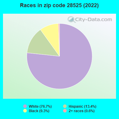 Races in zip code 28525 (2022)