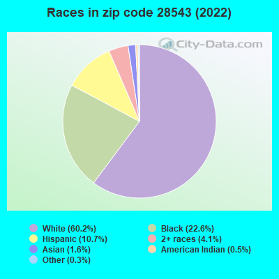 Races in zip code 28543 (2022)