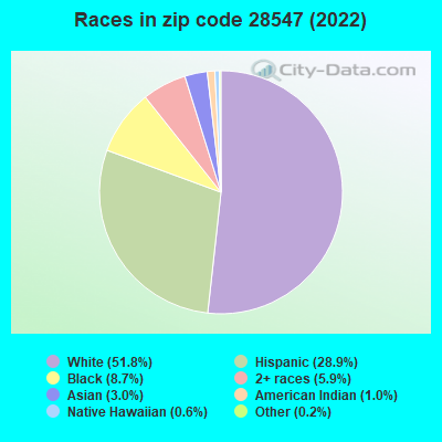 Races in zip code 28547 (2022)