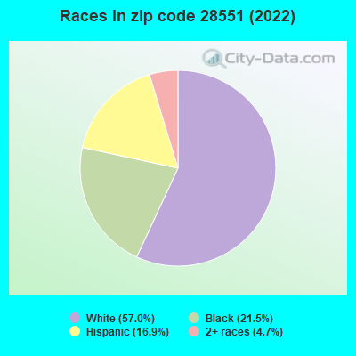 Races in zip code 28551 (2022)