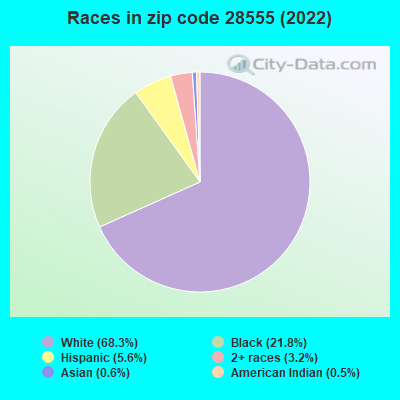 Races in zip code 28555 (2022)