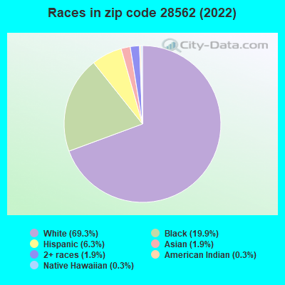 Races in zip code 28562 (2022)