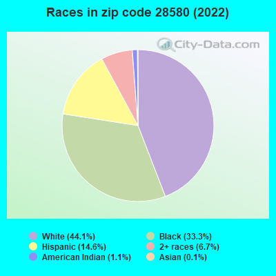 Races in zip code 28580 (2022)