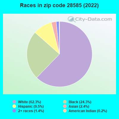 Races in zip code 28585 (2022)
