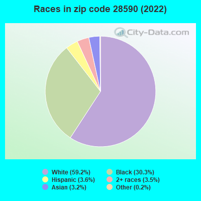 Races in zip code 28590 (2022)