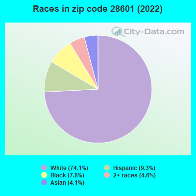 Races in zip code 28601 (2022)