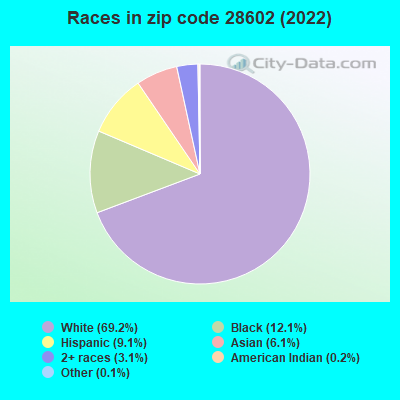 Races in zip code 28602 (2022)