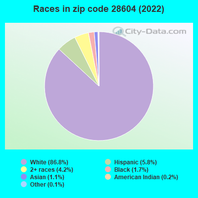 Races in zip code 28604 (2022)