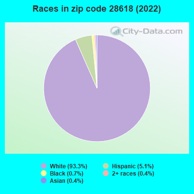 Races in zip code 28618 (2022)