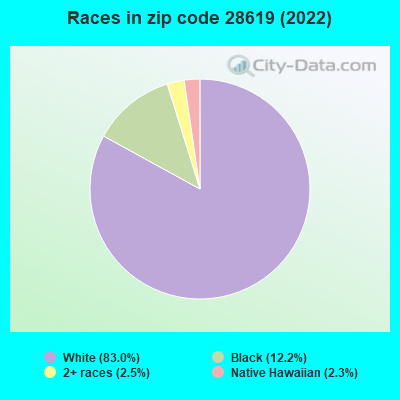 Races in zip code 28619 (2022)