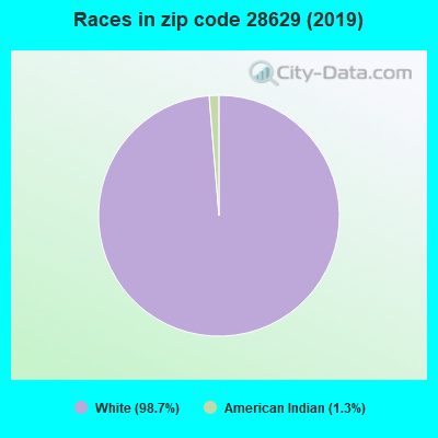 Races in zip code 28629 (2019)