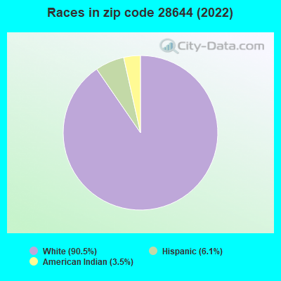 Races in zip code 28644 (2022)