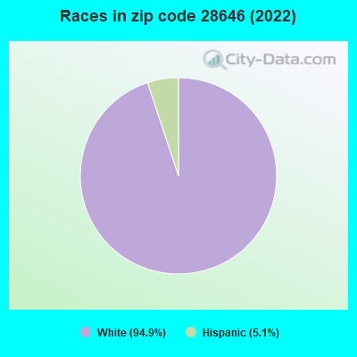 Races in zip code 28646 (2022)