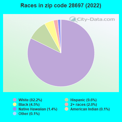 Races in zip code 28697 (2022)