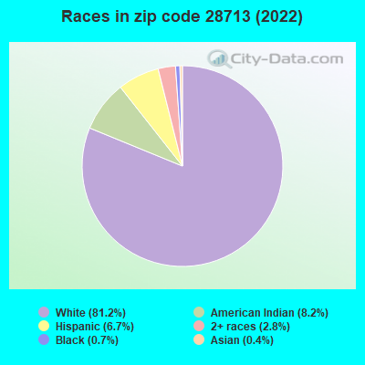 Races in zip code 28713 (2022)