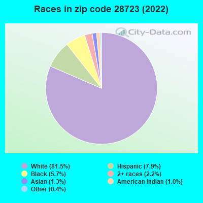 Races in zip code 28723 (2022)