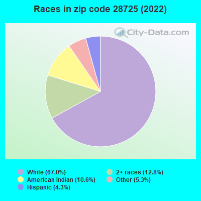 Races in zip code 28725 (2022)