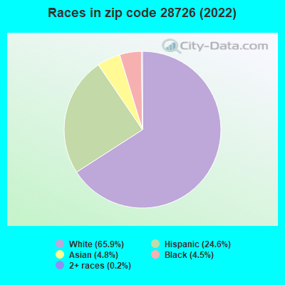 Races in zip code 28726 (2022)