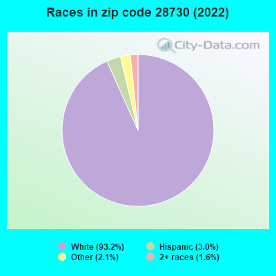 Races in zip code 28730 (2022)