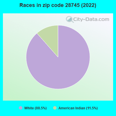 Races in zip code 28745 (2022)