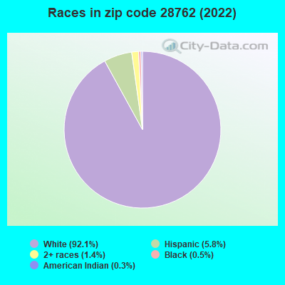 Races in zip code 28762 (2022)