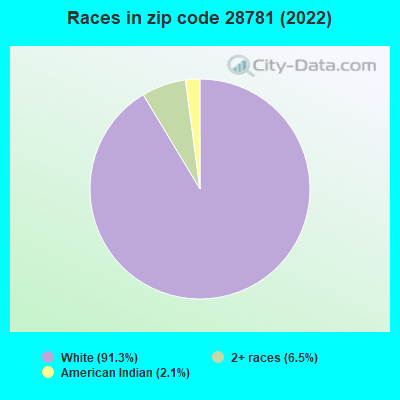 Races in zip code 28781 (2022)