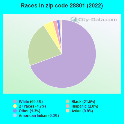 Races in zip code 28801 (2022)