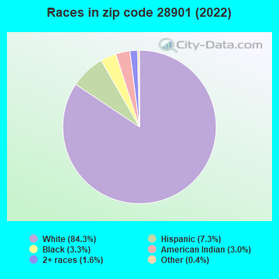 Races in zip code 28901 (2022)