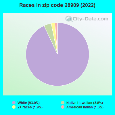 Races in zip code 28909 (2022)
