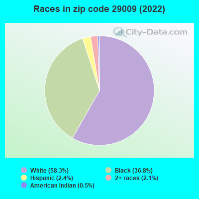 Races in zip code 29009 (2022)