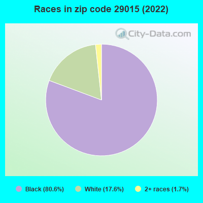 Races in zip code 29015 (2022)