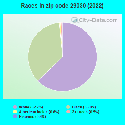 Races in zip code 29030 (2022)