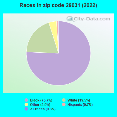 Races in zip code 29031 (2022)