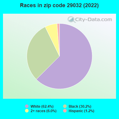 Races in zip code 29032 (2022)