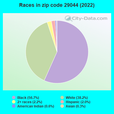Races in zip code 29044 (2022)