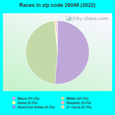 Races in zip code 29048 (2022)